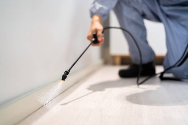 Rodent Entry Point Assessment in Stevensville
