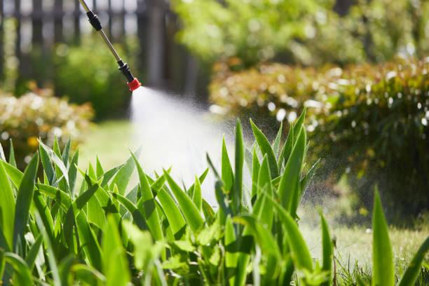 Tamper-Resistant Bait Stations for Rodents in Stevensville
